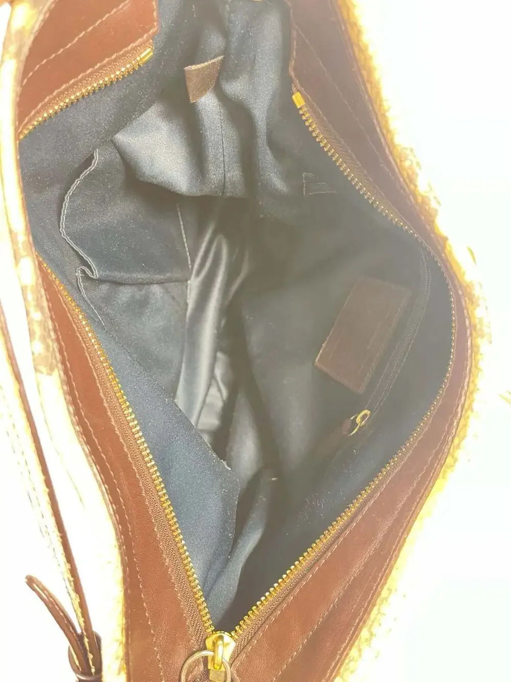 Coach Signature‎ C Hobo Bag with Snakeskin Trim 16408
